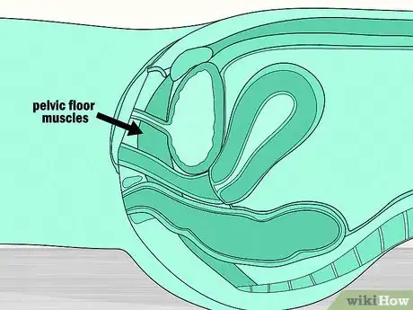 Image titled Use Ben Wa Balls Step 8