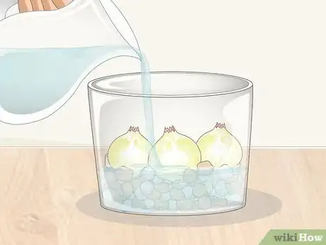 Image titled Force Bloom Flowers Step 7