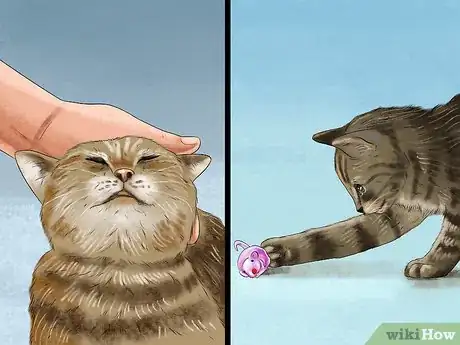 Image titled Feed a Fussy Cat Step 4