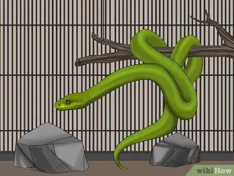 Image titled Help a Shedding Pet Reptile Step 13