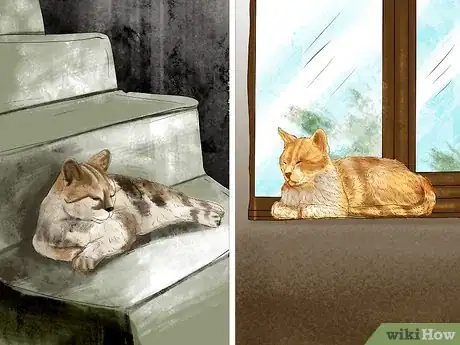 Image titled Provide High Resting Spaces for Your Cat Step 4