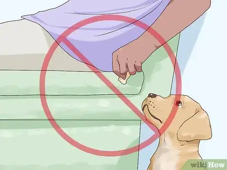 Image titled Feed a Fussy Puppy Step 10