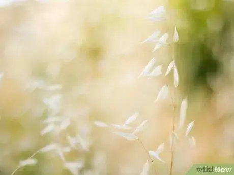 Image titled Transfer Your Problems to God Through Prayer Step 1