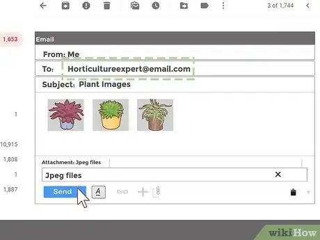 Image titled Identify a Houseplant Step 10