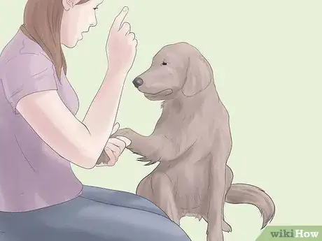 Image titled Raise a Balanced Puppy Step 6