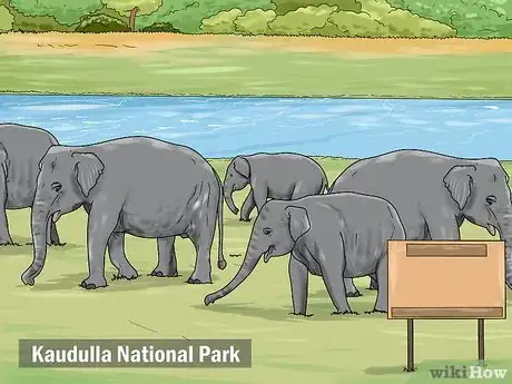 Image titled See Elephants in Sri Lanka Step 2