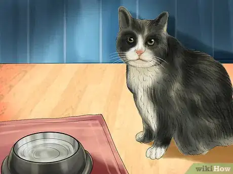 Image titled Provide High Resting Spaces for Your Cat Step 9