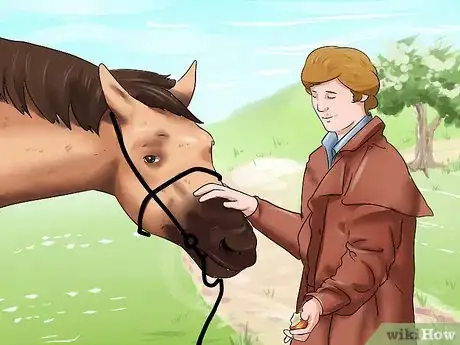 Image titled Get a Head Shy Horse To Trust You Step 11