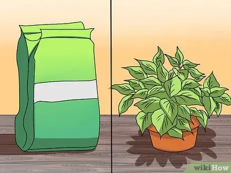 Image titled Grow Coleus Step 16