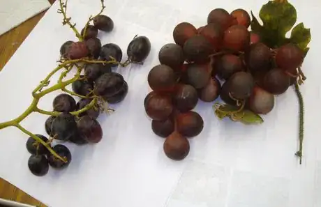 Image titled Grapesrealandnot