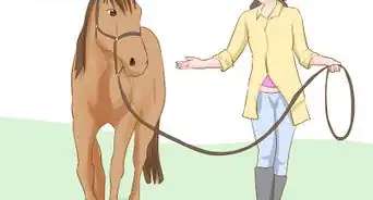 Do Basic Dressage Successfully