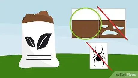 Image titled Grow Violets Step 2