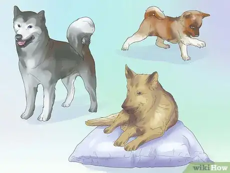 Image titled Remove Ear Mites from a Dog Step 17