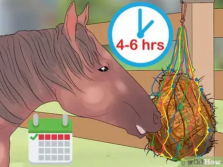 Image titled Feed a Starving Horse Step 7