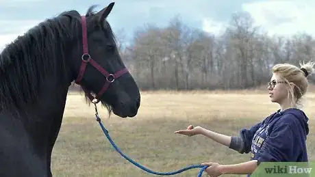 Image titled Teach a Horse to Kiss Step 2