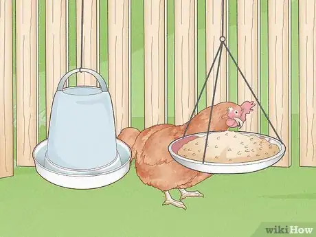 Image titled Prevent Diseases in Chickens Step 2