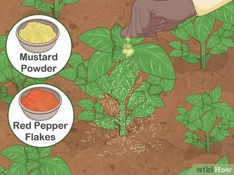 Image titled Garden when You Have a Dog Step 8