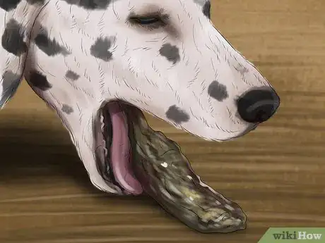 Image titled Care for Your Dog in the Winter Step 2