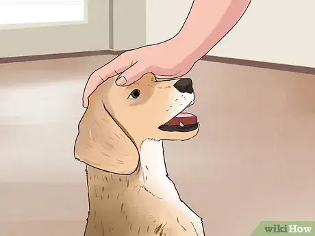 Image titled Cope With Canine Epilepsy Step 5