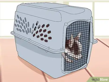 Image titled Fly Internationally With a Dog Step 9