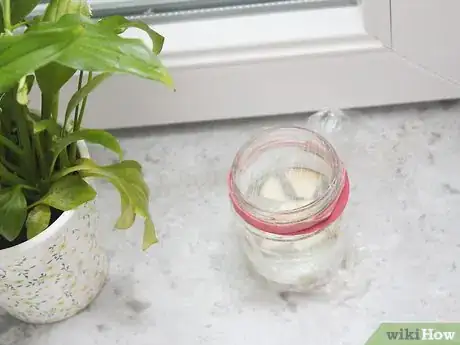 Image titled Make a Fly Trap Step 26