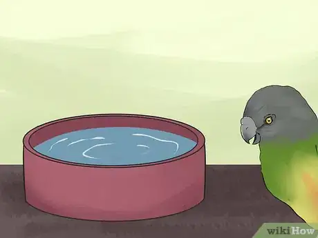 Image titled Care for a Senegal Parrot Step 8