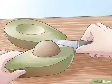 Image titled Plant an Avocado Tree Step 1