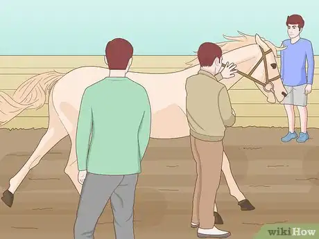 Image titled Be a Farrier Step 12