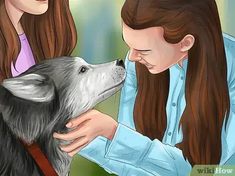 Image titled Adopt a Non‐Sporting Breed Step 10