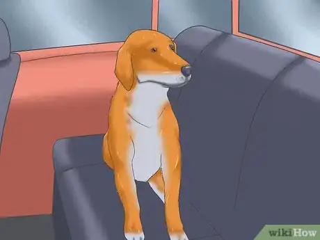 Image titled Deal with Severe Motion Sickness in Dogs Step 8