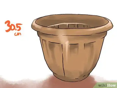 Image titled Grow Eggplants in Pots Step 2