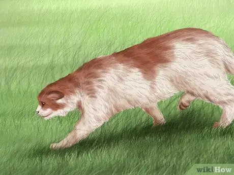 Image titled Make Your House a Better Place for Animals Step 11