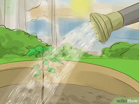 Image titled Choose Japanese Maple Trees Step 15