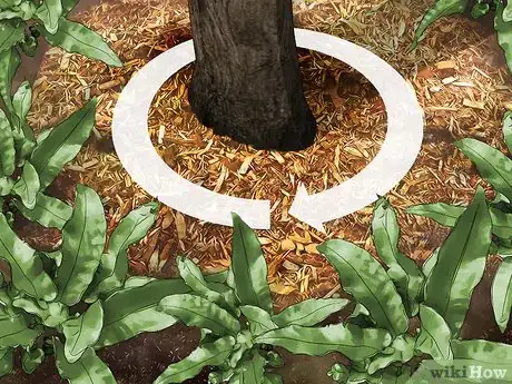 Image titled Plant Under a Tree Step 9