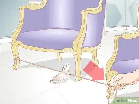 Image titled Train a Hamster or a Mouse to Walk on a Tightrope Step 8
