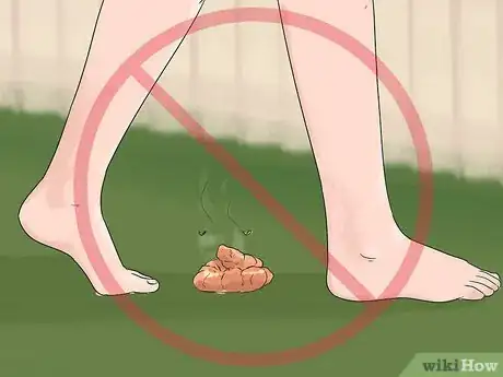 Image titled Prevent a Dog and Cat Tapeworm Infection (Dipylidium Infection) Step 11
