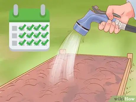 Image titled Grow Red Onions Step 11