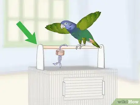 Image titled Set Up a Pionus Parrot Habitat Step 13