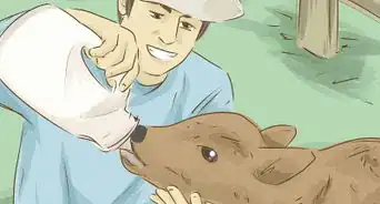 Help Victims of the Southern California Fires