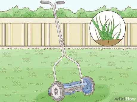Image titled Maintain Bermuda Grass Step 1