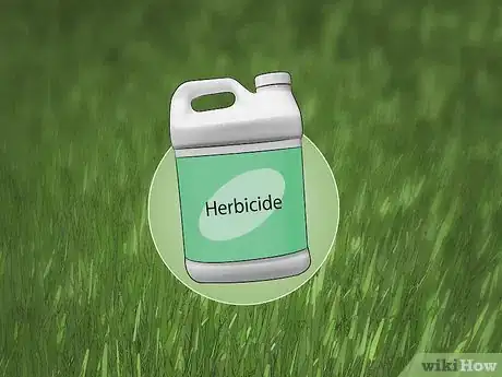 Image titled Control Lawn Weeds Step 6