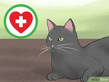 Image titled Calm an Aggressive Cat Step 8