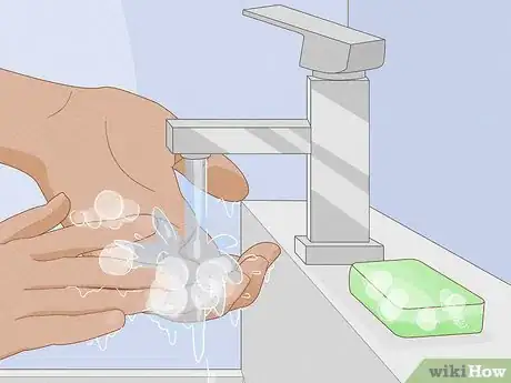 Image titled Carry a Hamster Step 5