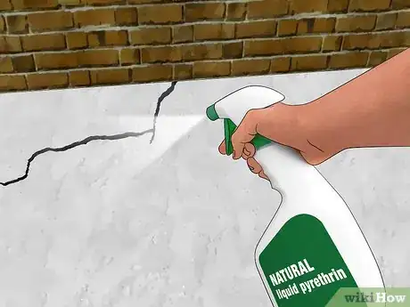 Image titled Get Rid of Silverfish Step 7