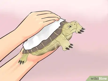 Image titled Bathe a Russian Tortoise Step 11