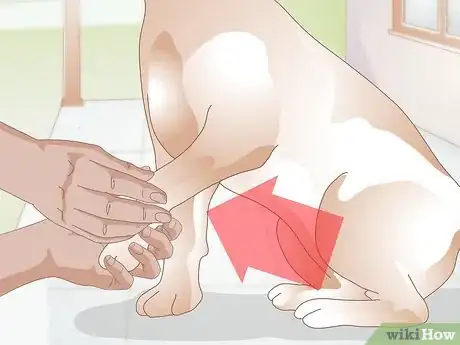 Image titled Care For a Dog with Bad Joints Step 10