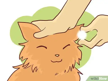 Image titled Bathe a British Shorthair Step 14