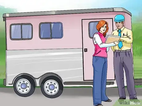 Image titled Take Your Horse on a Long Trailer Ride Step 1