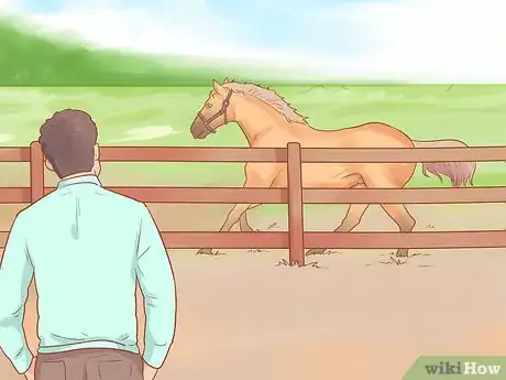 Image titled Pet a Wild Horse Step 3