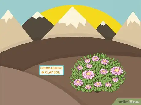 Image titled Plant in Poor Soils Step 09